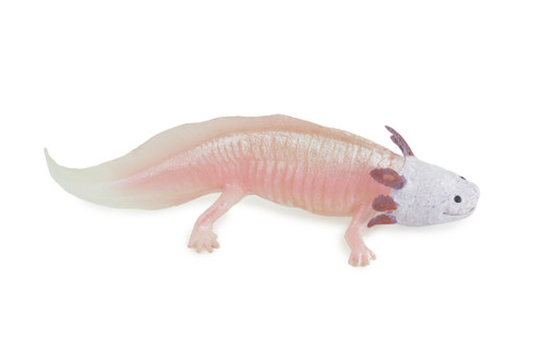 Axolotl, Pink, Ambystoma mexicanum, Rubber Salamander, Museum Quality, Educational, Hand Painted, Realistic Amphibian, Diorama, Toy, Kids, Gift, 7 Inches Long. CH1021 BB217