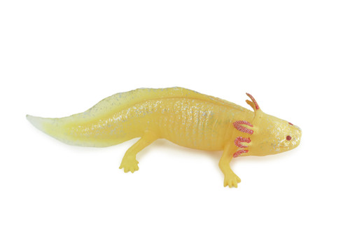 Axolotl, Gold Morph Color, Albino, Rubber Salamander, Museum Quality, Educational, Hand Painted, Realistic Amphibian, Diorama, Toy, Kids, Gift, 7 Inches Long. CH1022 BB217