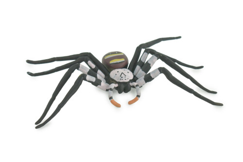 Huntsman Spider, Heteropoda maxima, Hand Painted, Hard Rubber, High Quality, Realistic Insect, Diorama Model, Toy, Kids, Educational, Gift, 5 Inches Wide. CH1024 BB218