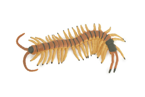 Tiger Centipede, Arthropods, Hand Painted, Museum Quality, Hard Rubber, Realistic Insect, Diorama Model, Toy, Kids, Educational, Gift, 6 Inches Long. CH1026 BB217