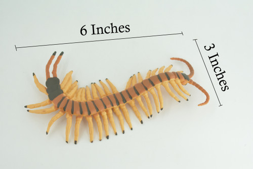 Tiger Centipede, Arthropods, Hand Painted, Museum Quality, Hard Rubber, Realistic Insect, Diorama Model, Toy, Kids, Educational, Gift, 6 Inches Long. CH1026 BB217