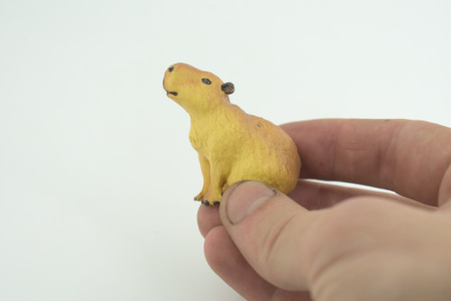 Capybara, Sitting, Giant Cavy Rodent, Nutria, Baby, High Quality, Hand Painted, Rubber Animal, Realistic, Diorama Model, Toy, Kids, Educational, Gift, 2 Inches. CH1031 BB218