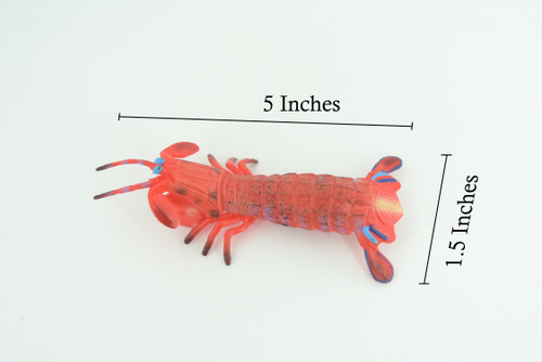 Mantis Shrimp, Marine Crustaceans, Museum Quality, Hand Painted, Rubber, Realistic Toy Figure, Diorama Model, Replica, Kids, Educational, Gift, 5 Inches. CH1050 BB218