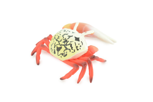 Fiddler Crab, Marine Crustaceans, Museum Quality, Hand Painted, Hard Rubber, Toy Figure, Diorama Model, Replica, Kids, Educational, Gift, 3 1/2 Inches. CH1054 BB216
