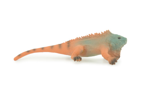 Iguana, Marine iguana, Lizard, Museum Quality, Hand Painted, Hard Rubber Reptile, Educational, Toy Figure, Diorama Model, Replica, Kids, Gift, 4 Inches. CH1056 BB218