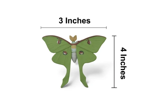 Luna Moth, Actias luna, Museum Quality, Hand Painted, Hard Rubber Insect, Educational, Toy Figure, Diorama Model, Replica, Kids, Gift, 4 Inches. CH1059 BB221