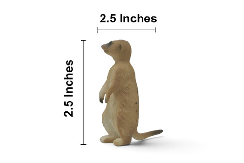 Meerkat, Mongoose, Suricate, Museum Quality, Hand Painted, Rubber Animal, Educational, Toy Figure, Diorama Model, Replica, Gift,  2 1/2 Inches.  CH1077 BB222