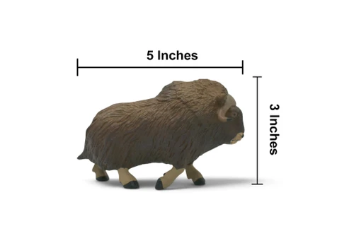 Musk Ox, Ovibos moschatus, Arctic mammal, Museum Quality, Hand Painted, Rubber Animal, Educational, Toy Figure, Diorama Model, Replica, Gift,  5 Inches.  CH1079 BB222