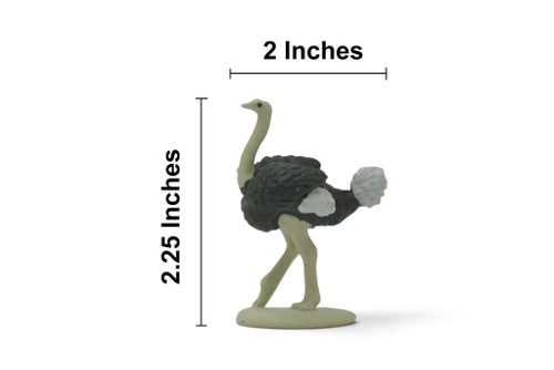 Ostrich, Flightless birds, Museum Quality, Educational, Hand Painted, Realistic, Rubber Bird, Figure, Diorama Model, Toy, Kids,  Gift,       2 1/4 Inches.    CH1082 BB223