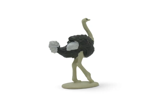 Ostrich, Flightless birds, Museum Quality, Educational, Hand Painted, Realistic, Rubber Bird, Figure, Diorama Model, Toy, Kids, Gift, 2 1/4 Inches. CH1082 BB223 