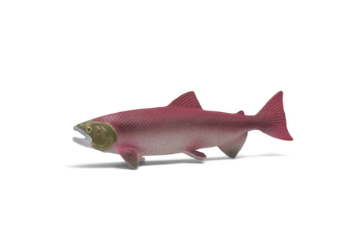 Salmon, Coho, Silver, Museum Quality, Educational, Hand Painted, Realistic, Rubber Fisn, Figure, Diorama Model, Toy, Kids, Gift, 3 1/ 2 Inches. CH1085 BB223