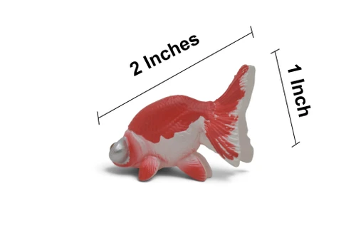 Celestial Eye Goldfish, Stargazer goldfish, Museum Quality, Educational, Hand Painted, Rubber Fish, Realistic Figure, Diorama Model, Toy, Kids, Gift,  2 Inches.  CH1088 BB223