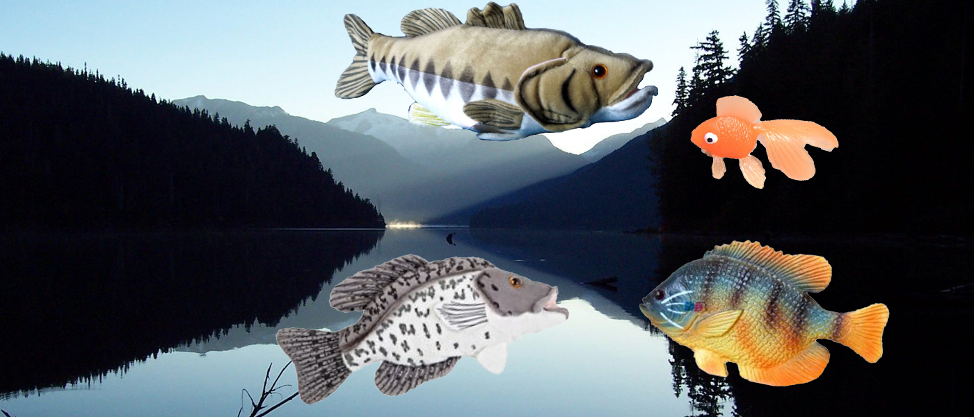 freshwater fish toys