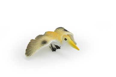 ペリカン180F PELICAN Pelican Kayak Double Wide Hatch Cover