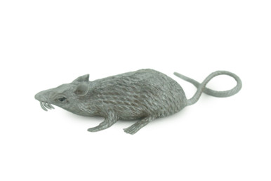 Mouse, Mice, Gray, Rodent, Soft Rubber, Educational, Toy, Kids ...