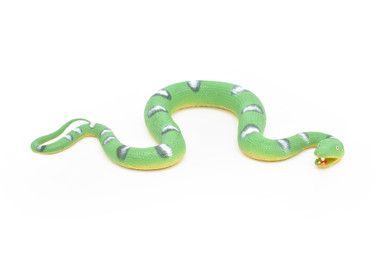 Snake, Emerald Tree Boa Snake, Coiled, Rubber Reptile, Educational