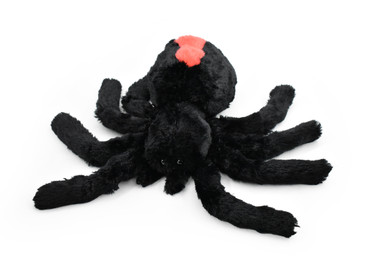 Spider, Redback , Australian Black widow, Stuffed Insect, Educational ...