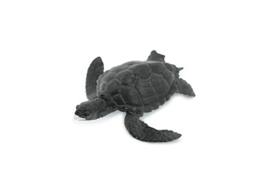 Turtle, Dark Green Sea Turtle, Museum Quality, Hand Painted