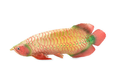 Arowana, Red Dragon Fish, Asian Arowana, Rubber Fish, Hand Painted