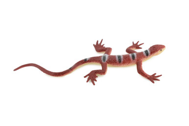 DSC_0180__55912.1689960661.386