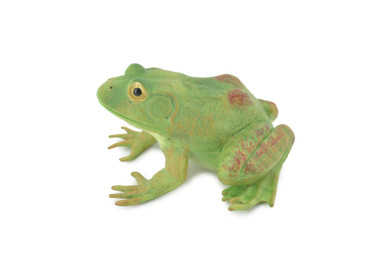 Bullfrog, Frog, Bull frog, Green, Museum Quality, Hand Painted 