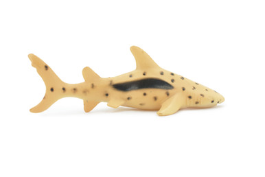 シャーク frag shark 20230907-111914.jpg