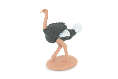 Ostrich, Flightless Wonder, Struthio camelus, Hand Painted, Educational ...