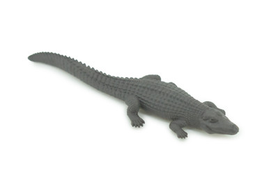 DSC_0169__67134.1726181432.386