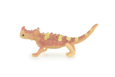Australian Thorny Devil, Thorny dragon, Hand Painted, Educational