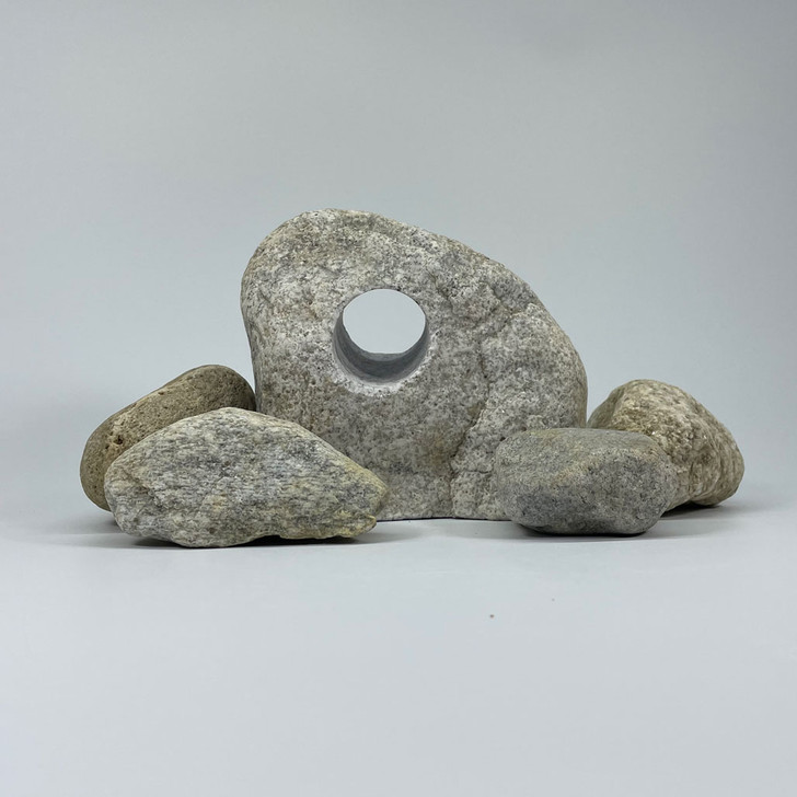 Fish Cave | Small Reptile Stone - White