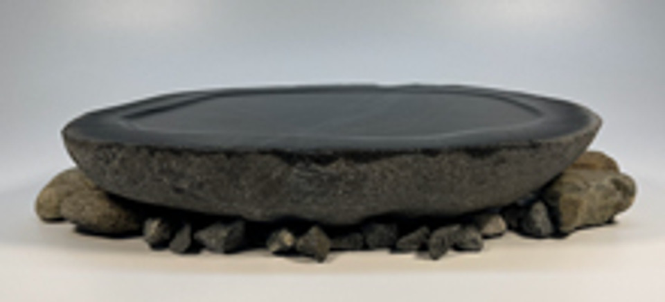 Large - Reptile Water Bowl | Stone Birdbath