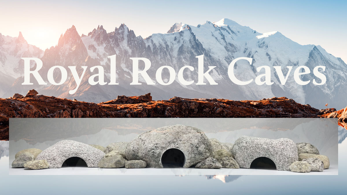 Rock Caves for Reptiles