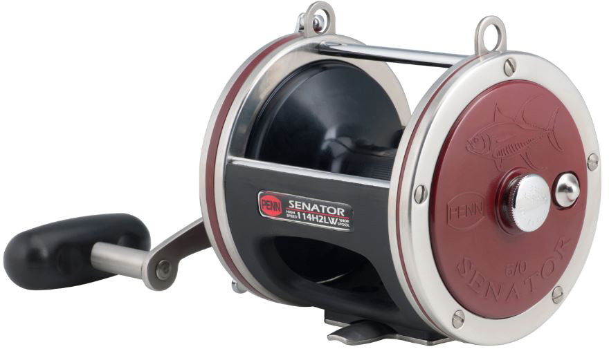 Penn - Special Senator Reel - Conv 6/0 2bb 2.9:1 - 114H2 - Big