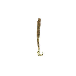 Jerry's 53052 Small Mouth Magic 4" - Saturn Worm, Small Mouth Magic - 53052 SMALL MOUTH MAGIC Jerry's 53052 Small Mouth Magic 4" - Saturn Worm, Small Mouth Magic - 53052 SMALL MOUTH MAGIC