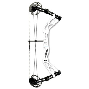 AMS RINGO Bowfishing Bow RH - B900-RH