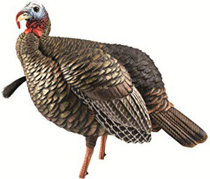 Avian X Decoys - Jake Turkey Decoy - Hdr - AVX8105