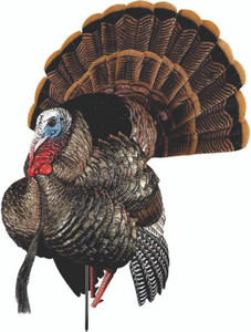 Avian X Decoys - Strutter Turkey Decoy - Hdr - AVX-AVX8108 Avian X Decoys - Strutter Turkey Decoy - Hdr - AVX-AVX8108