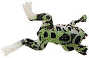 Burke - Baby Fly Rod Frog - 1.5in Green - B401-11