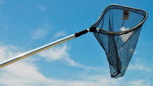 Lee Fisher - Alum Tele Scoop Net - 20x20in 6.5-18ft Hndl - TT-LNJF-05 Lee Fisher - Alum Tele Scoop Net - 20x20in 6.5-18ft Hndl - TT-LNJF-05