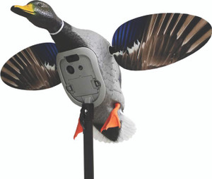 Mojo - King Mallard Decoy - Elite Drake - HW2520