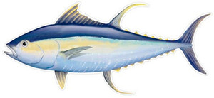 Salty Bones - Profile Fish Sticker - 4.5x16in Yellowfin Tuna - SBPF2480 Salty Bones - Profile Fish Sticker - 4.5x16in Yellowfin Tuna - SBPF2480