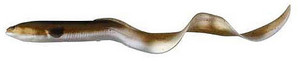 Savage - 3d Real Eel Pre-rig - 12in 2.75oz Olive/brn/prl - RE-R300-OBP Savage - 3d Real Eel Pre-rig - 12in 2.75oz Olive/brn/prl - RE-R300-OBP