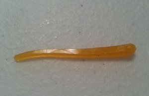 The Crappie Psychic - Crappie Trailer - 1.6in 13bg Craworm - TCP001-3