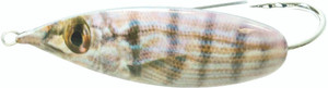Ahi - Weedless Spoon - 1/4oz Pinfish - Ahi - Weedless Spoon - 1/4oz Pinfish -