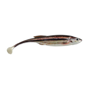 Berkley - Powerbait Drip Swimmer - 4in 5pkhd Bknsshnr -