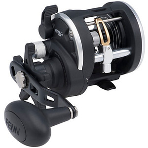 Penn - Rival Levelwind Reel - Conv 2bb 3.9:1 - RIV30LW