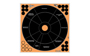 Allen Company EZ AIM Adhesive  Handgun Trainer  12"X12"  5 Pack 15248