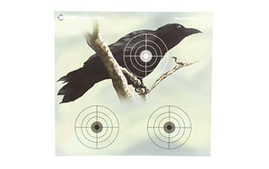 Crosman Varmit Full Color Paper Target  9.75"X9"  PDQ  20 Pack 0496PDQ