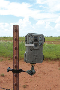 HME HME-TPCH T-Post Trail Camera - Holder New - HME-TPCH HME HME-TPCH T-Post Trail Camera - Holder New - HME-TPCH