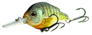 LiveTarget BG57S100 Sunfish - Bluegill Shallow Dive Flat-Side - BG57S100 LiveTarget BG57S100 Sunfish - Bluegill Shallow Dive Flat-Side - BG57S100